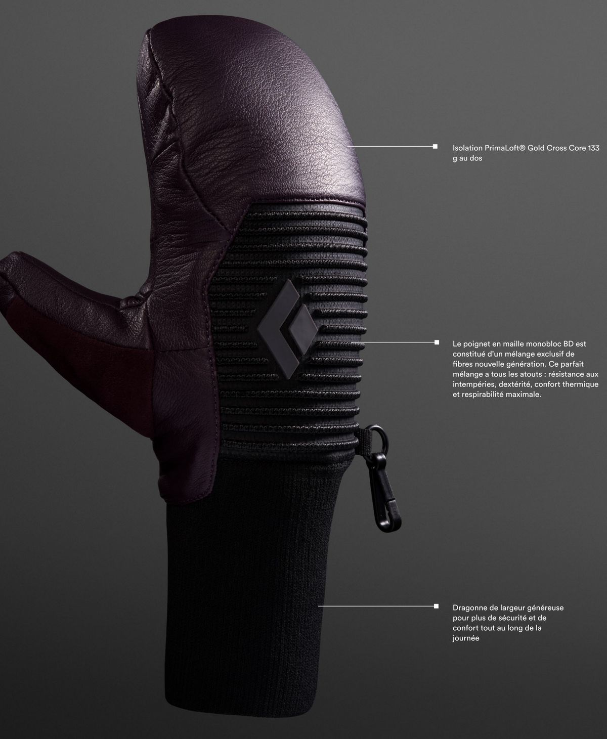 Pr&eacute;sentation des gants de ski Session Knit Black Diamond